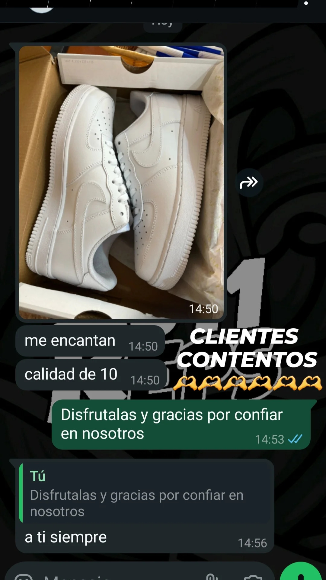 Reseña cliente 611REPS